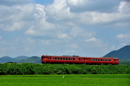 吉備線の盛夏の水田風景を行くキハ40列車・その2(足守~服部)