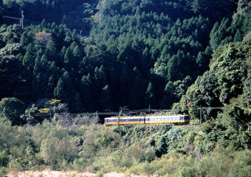 晩秋の大井川鉄道 1998.11.20
