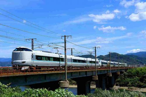 パンダ車両と増結列車!