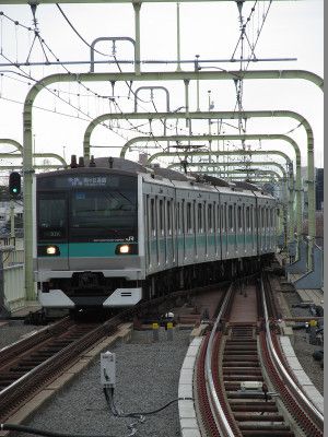 JR東日本E233系2000番台 小田急小田原線各駅停車武庫が丘遊園行き