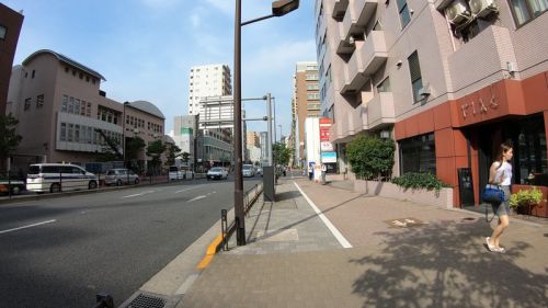 【4K】南北線・三田線 白金台駅に潜ってみた Shirokanedai Station Namboku Line / Toei Mita line