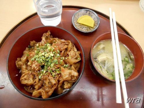 道の駅「七城メロンドーム」から山鹿温泉へ(熊本県菊池市~山鹿市)