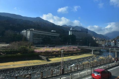 箱根登山鉄道 塔ノ沢駅