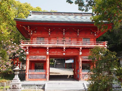 九州旅行 青春18きっぷ⑯~⑰日豊本線で延岡駅から宮崎駅へ!宮崎神宮も