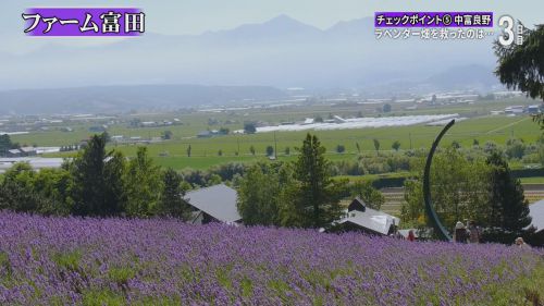 北海道鉄道旅2018夏 Chapter-8の解説