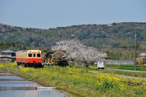 小湊鉄道と言えば