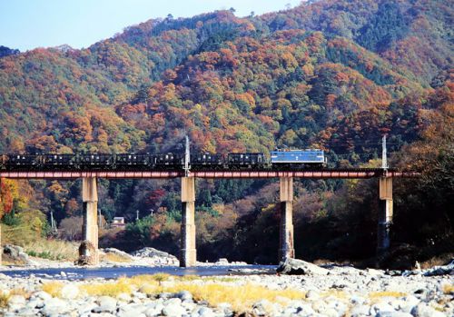 紅葉の 秩父鉄道 1999.11.27