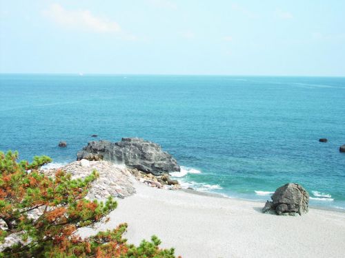 【四国くるりきっぷ】 関西エリアからの往復+JR四国の特急自由席に3日乗り放題のフリーきっぷ、期間限定でJR西日本が発売!