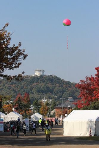 おかやまマラソンEXPO2018会場から 岡山駅まで無料バス乗ってみた!