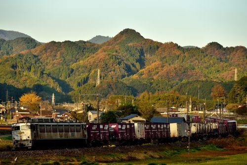 日豊本線の紅葉の山々をバックに行くEF81ー303号機牽引のコンテナ列車(中山香~立石)