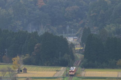 半分黄色い - いすみ鉄道・2018年晩秋 -