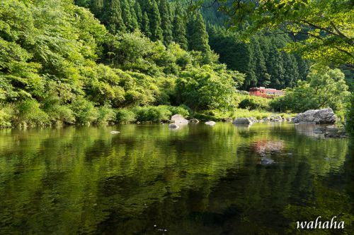 JR播但線長谷駅 鉄道写真コンテスト 入賞ヽ(≧∀≦)ノ