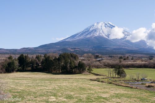 富士山+電車 撮りに行ってきました! ③