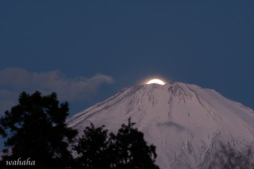 富士山+電車 撮りに行ってきました! ⑤【番外編】
