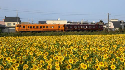 今年撮影した鉄道動画ダイジェスト《旅客列車編》