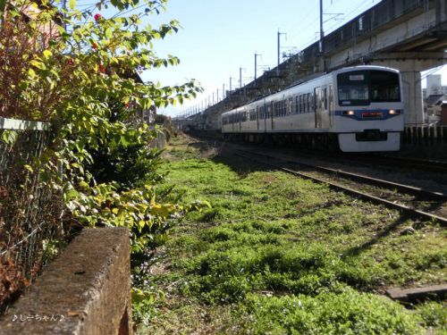 その14・2年前の今頃─SL兎田ワイン列車。