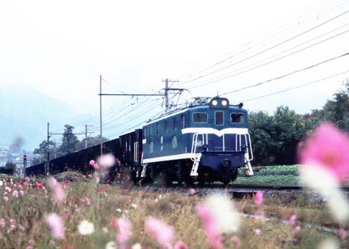 恒例 秋の秩父鉄道 C58363(その2) 2001.11.10