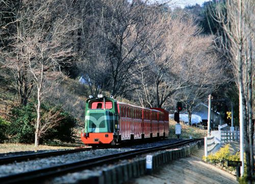 1月は修善寺虹の郷の ロムニー鉄道 へ 2003.1.13