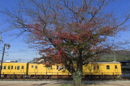 乗り鉄活動　臨時大垣夜行に乗車　1989-12-29