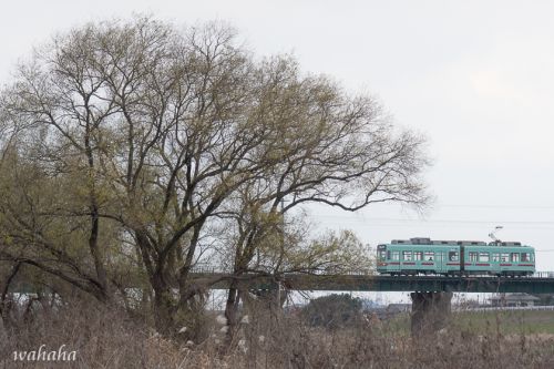 新年早々おバカな旅2019 -初めての筑豊電鉄-