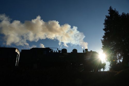真岡鉄道SL新年号(2019/1/5上りその2天矢場+)