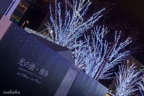 新年早々おバカな旅2019 -博多駅前イルミネーション-