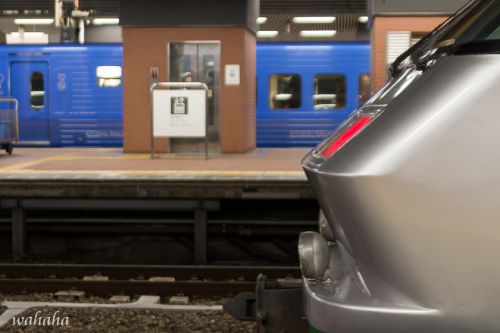新年早々おバカな旅2019 -博多駅-