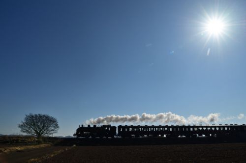 真岡鉄道SLもおか号(2019/1/14下り速報版)
