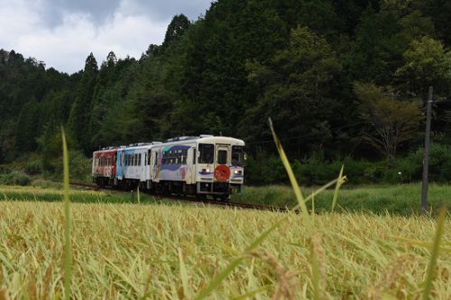 9月16日撮影 明知鉄道より その1 「半分、青い」