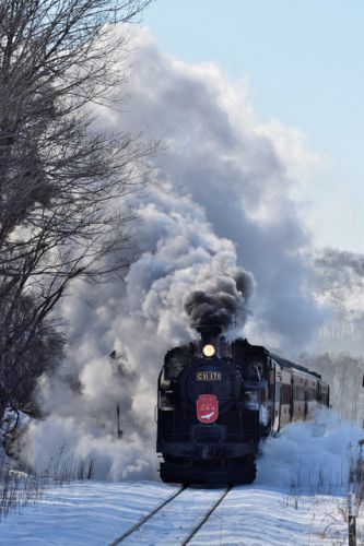 SL冬の湿原号(2019/1/27上り細岡駅進入)