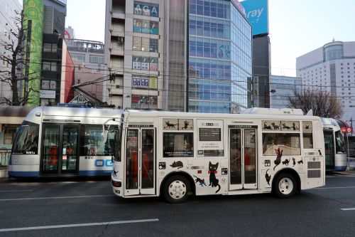 バスと路面電車 岡山駅前