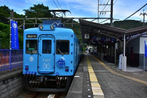 南海加太さかな線 めでたいでんしゃ