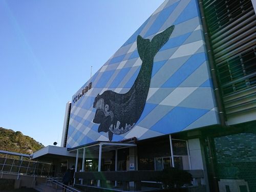 今日の旅行先(太地町立くじらの博物館・太地駅)