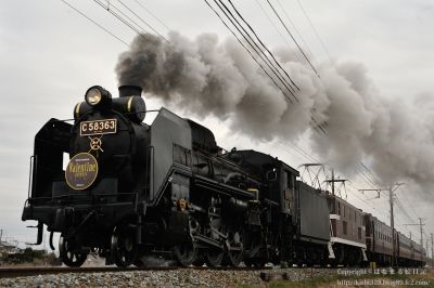 秩父鉄道 バレンタインエクスプレス
