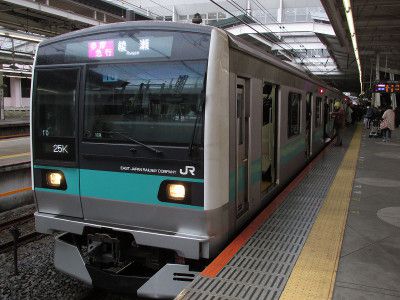 JR東日本E233系2000番台 小田急小田原線多摩急行綾瀬行き