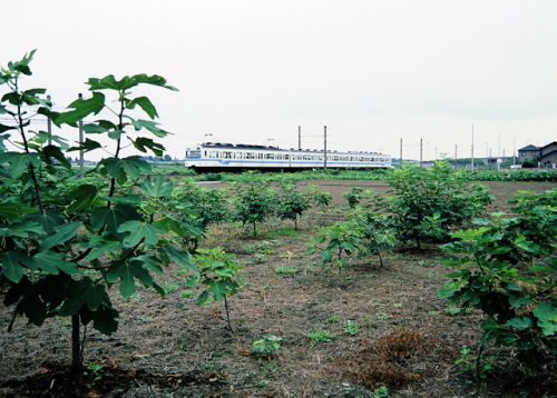 晩夏の 秩父鉄道 2006.8.27