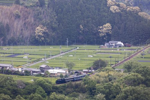 抜里駅通過(大井川鐵道)
