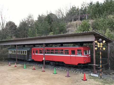 【井原】井笠鉄道ホジ101+ホハ8/経ケ丸グリーンパーク