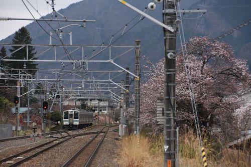 4月20日撮影 洗馬駅の桜と