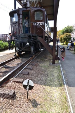 ことしのお花見は、新幹線公園へ。(保存車両編)【4】)