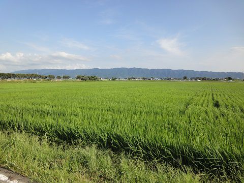 大刀洗町の田圃・水路と、大堰駅近くの忠魂碑と　～福岡県三井郡大刀洗町の風景・街並・石碑