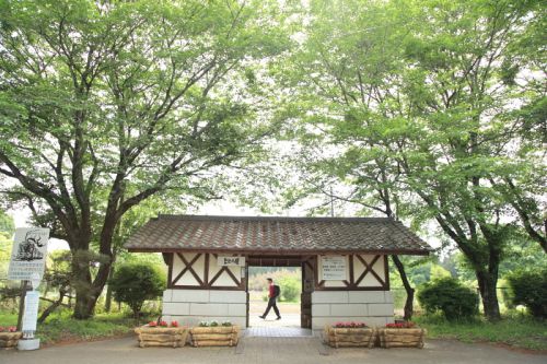 緑に包まれる駅