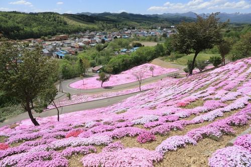 滝上芝ざくら公園と遠くに北見滝ノ上駅