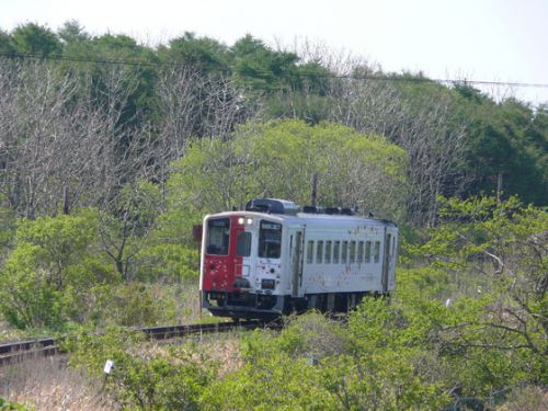 快速はなさき根室ゆきは地球探索鉄道花咲線ラッピングトレイン