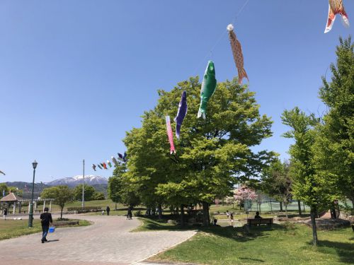 山形県河北町 いもこ列車を訪ねて河北町中央公園へ 元台湾糖業公司の小型蒸気機関車