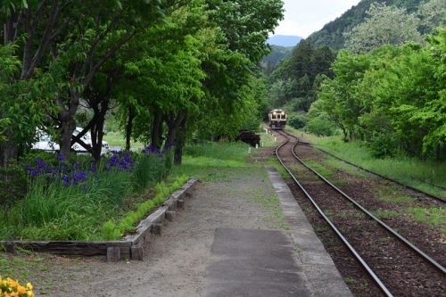 わ鐵さん あえて車で 駅めぐり。 その2