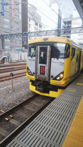 E257系500番台のNB14編成による特急あやめ祭り号