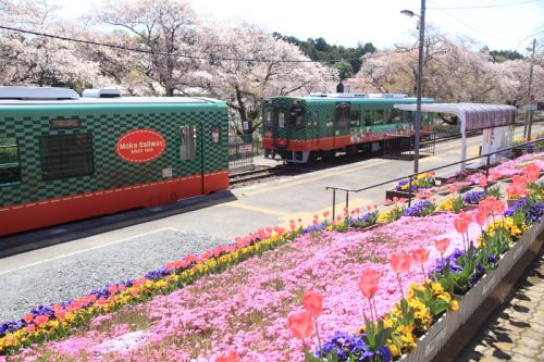 花に包まれた駅