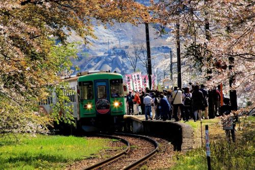 樽見鉄道らしく撮る!