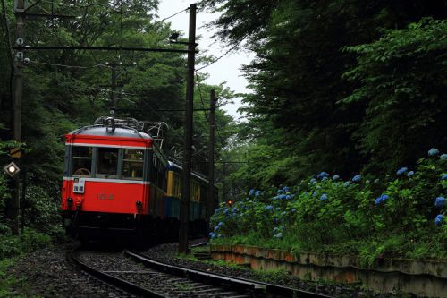 あじさい電車